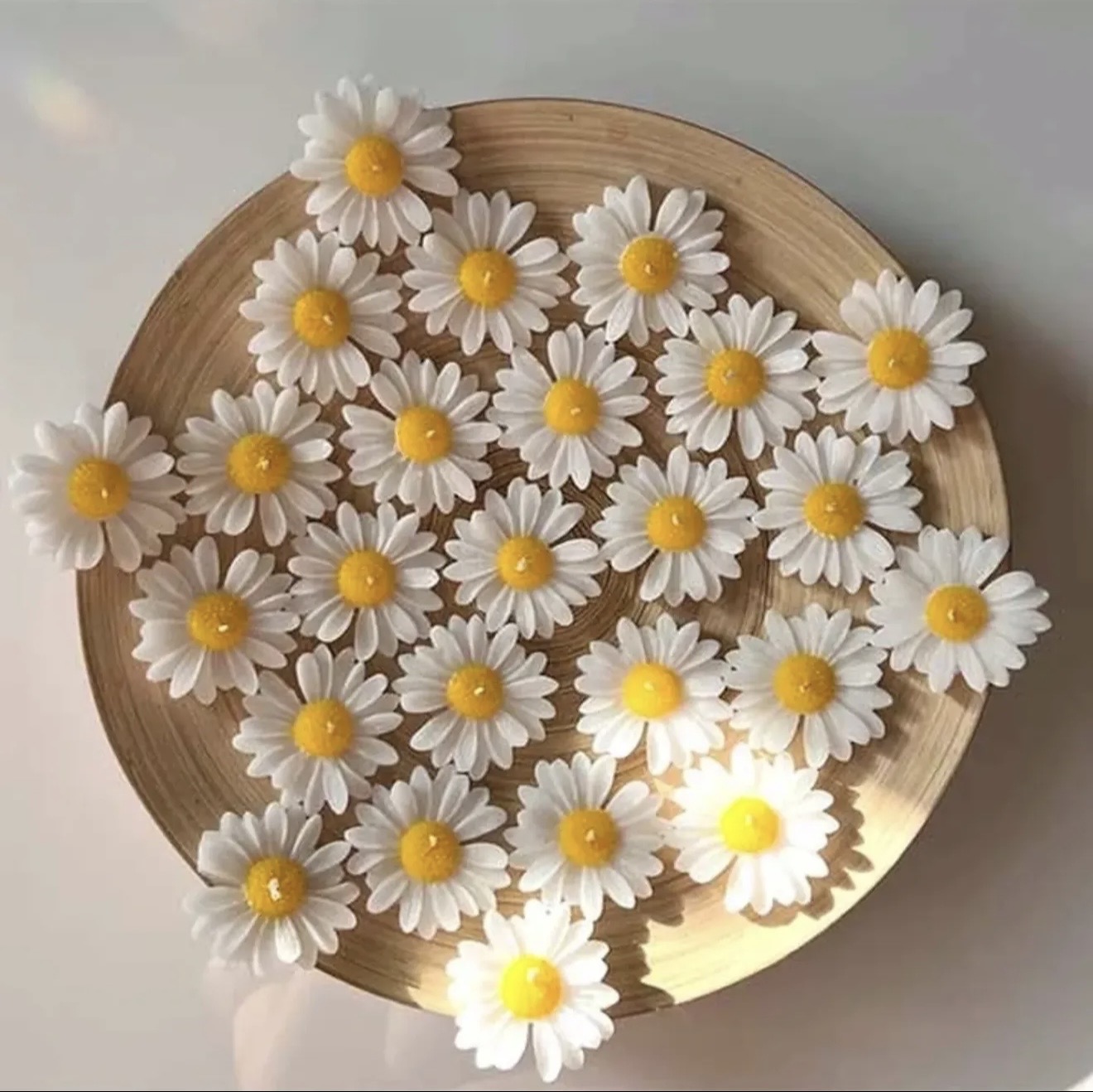 شمع بابونه